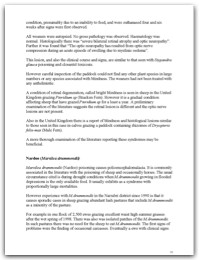 2005 page 18